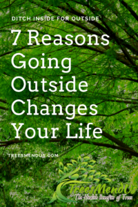 7 Reasons Going Outside Changes Your Life - TreesMendUs
