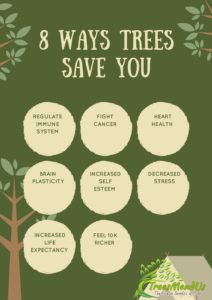 8 ways trees save you - TreesMendUs